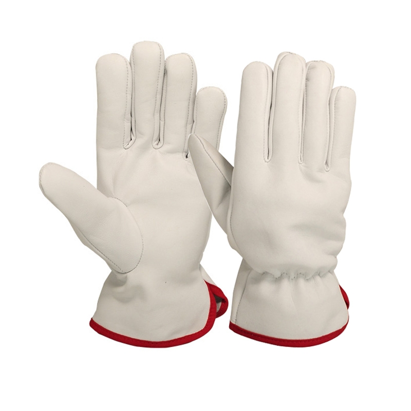 Driving Gloves